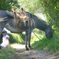 Fotos de Stéphanie Mercier