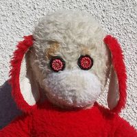 Marko Bradica的照片