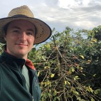 Fotos von Damien Thomson