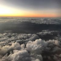 H@L€H M0o0s@Vi's Photo