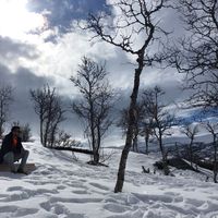 David Arteaga的照片