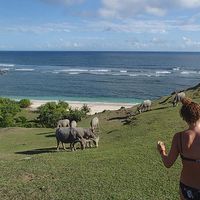 Colleen Conroy's Photo