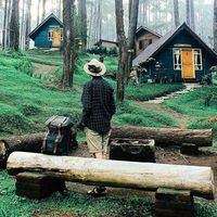 Photos de Alexandre Krzywono