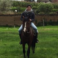 Gonzalo Vargas的照片