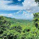 Pugu Hills Forest Reserve Exploribg's picture
