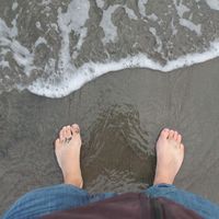 Andrew Lendrum的照片