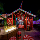 Christmas bar hop🎄🍸's picture