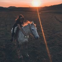 Amanda Steil's Photo