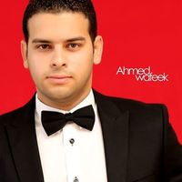 Ahmed Wafeek's Photo