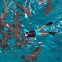 Ahmed  Khairat的照片