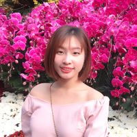 nguyen tram的照片