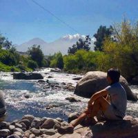 Cristian Mansilla Flores的照片