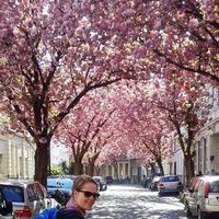 Fotos de Ann-Christin Feld