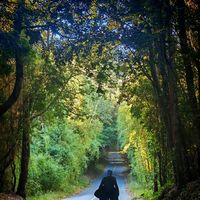 Goran Subasic - Veliki Gogo's Photo