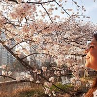 Rochy Giorgio的照片