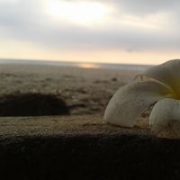 Fotos von zia Yulanda