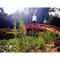 Norman Brenes's Photo