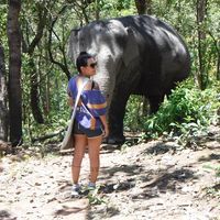 Фотографии пользователя Jacqueline Amaral