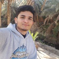 Yassine Ben Houria's Photo