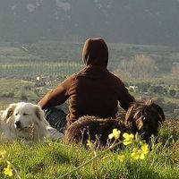 Edouardo Sottocasa's Photo