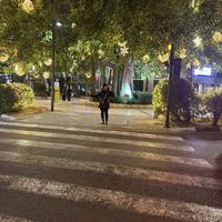 Soumi Saline's Photo