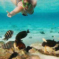 Carolina J-Llo's Photo