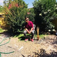 Fotos von Felipe Sierra Lillo