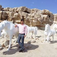 Reza Rostami的照片