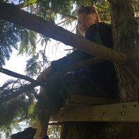 Cappy Shapiro's Photo