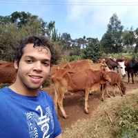 Omar Ramadan's Photo