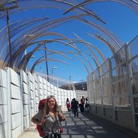 Jamie Ranney的照片