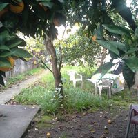 Guy  Arnaud的照片