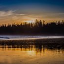 Camping Trip in Ucluelet/Tofino (Jul 04 - Jul 07)'s picture