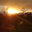 Sunset Breathwork at Riegrovy Sady的照片