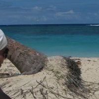 Alejandro janeiro's Photo