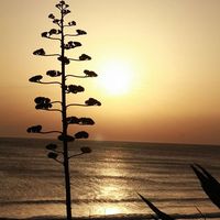 Robert Witter's Photo