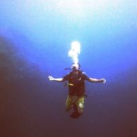 Omar Elshamy的照片