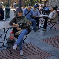 shima mohammadi的照片