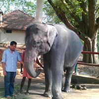 Fotos von Abraham George