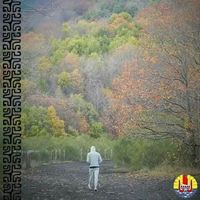 Clement Duquesnoy的照片