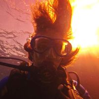 Alexandr Kuzmin的照片