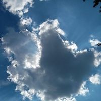 Stefan Mrljes's Photo