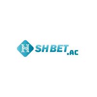 Shbet  Casino的照片