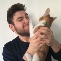 Furkan Erucar的照片