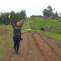 Mewded Eshetu的照片