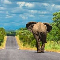 İsmail Gümüştok's Photo