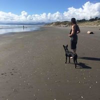 Josh Barnes的照片