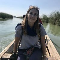 Rose Donovan的照片