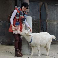 mehrnaz entesari的照片