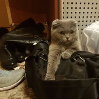 Natalia Tali's Photo